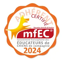 MFEC